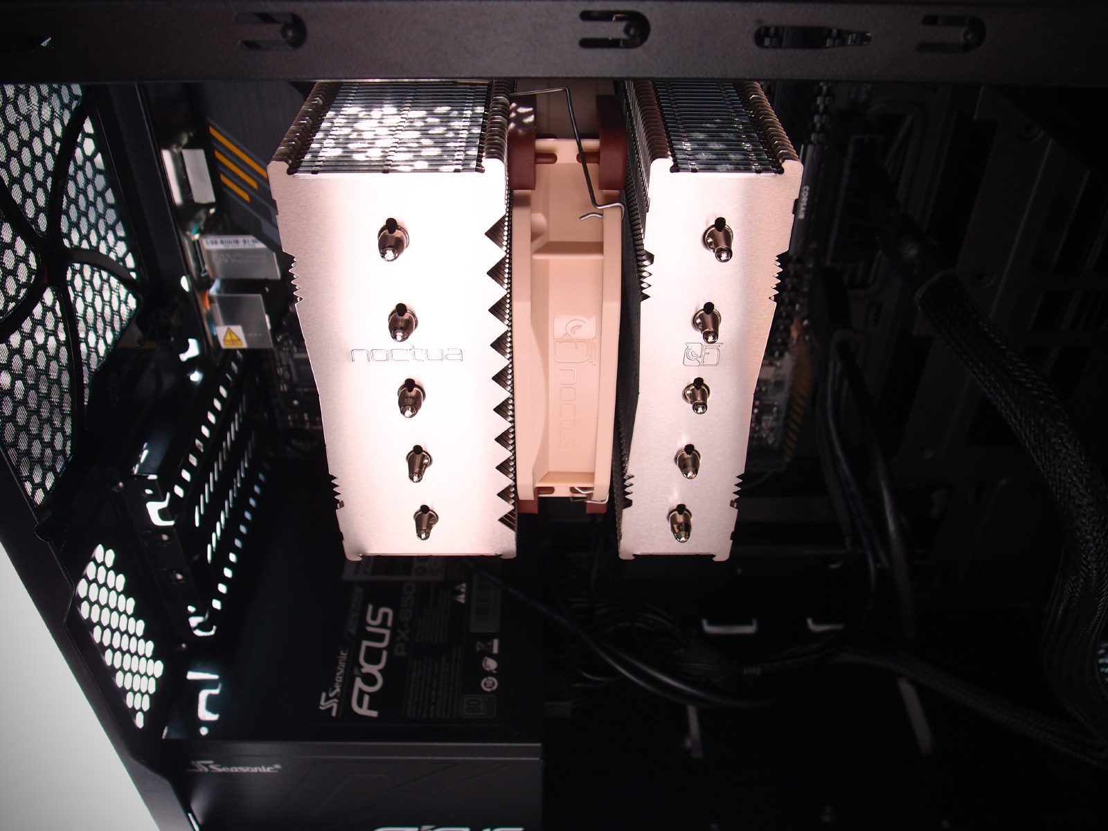 noctua01.jpg